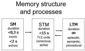 Multi-Store Model (Atkinson & Shiffrin)