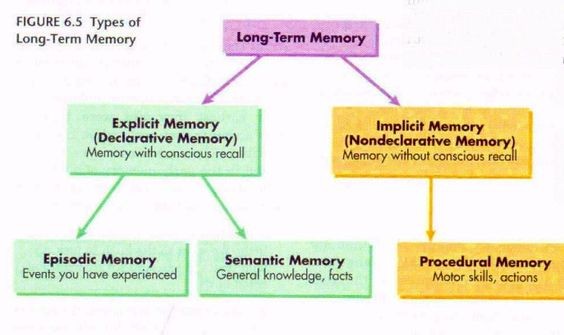 Types of Long Term Memory