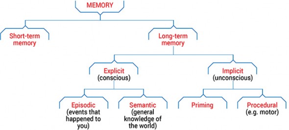 RÃ©sultat de recherche d'images pour ""queensland brain institute" "memory types""